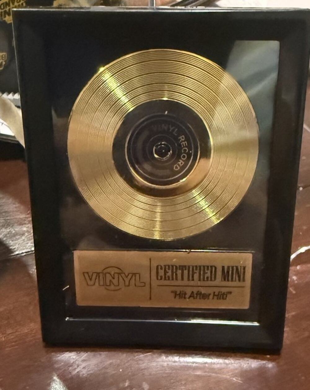 Mini Brands Really Works Vinyl - Golden Record Award - Accessory - Rare